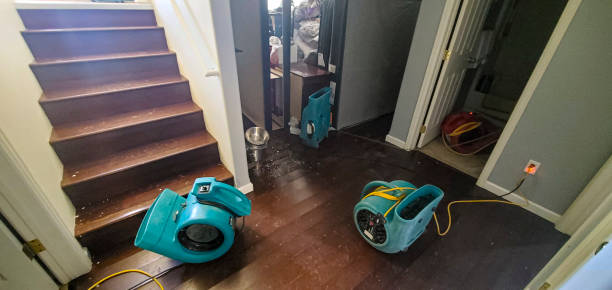 Best Flood restoration services  in Ravenna, MI