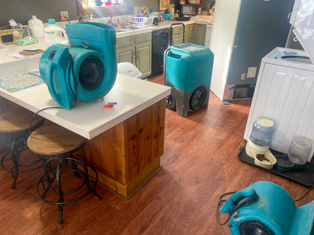 Best Ceiling water damage repair  in Ravenna, MI