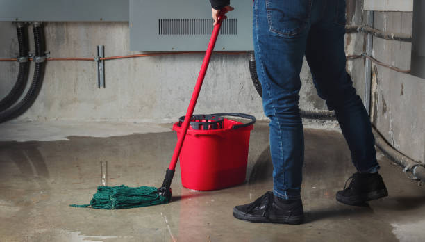 Best 24/7 water damage repair  in Ravenna, MI