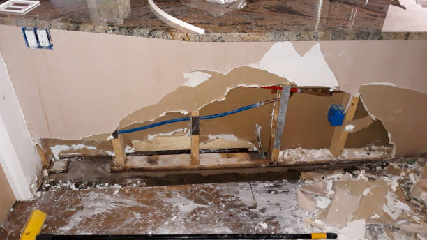 Best Flooded house restoration  in Ravenna, MI
