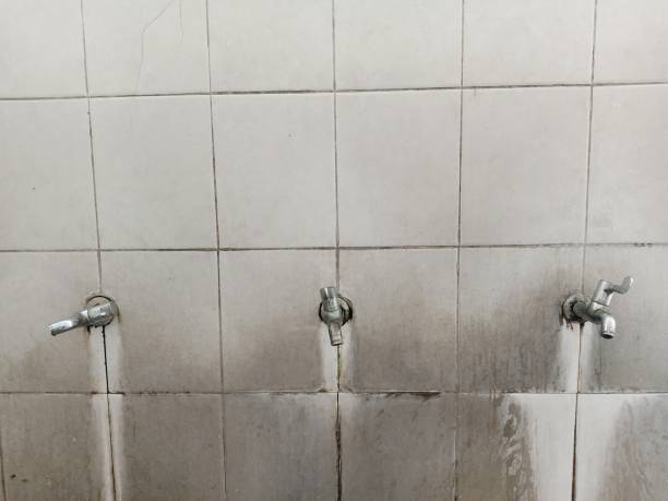 Best Water damage restoration near me  in Ravenna, MI