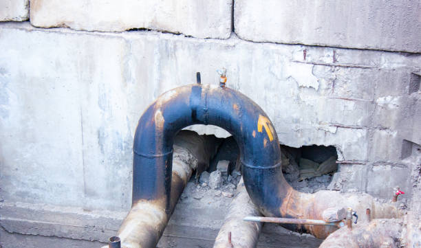 Best Flooded house restoration  in Ravenna, MI