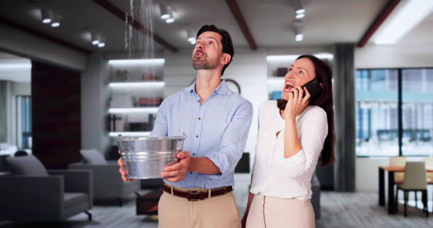 Best Mold removal after water damage  in Ravenna, MI