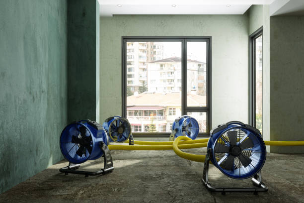 Best Water damage contractors near me  in Ravenna, MI