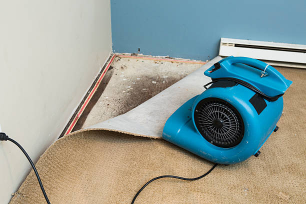 Best Commercial water damage restoration  in Ravenna, MI